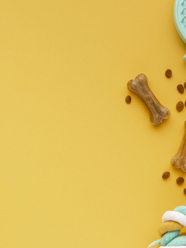 top-view-pet-accessories